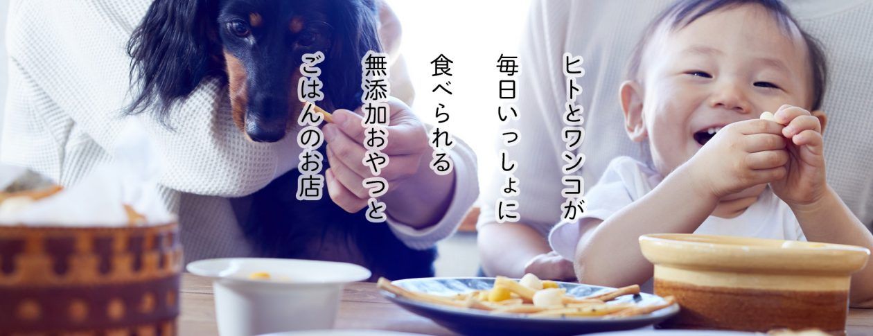 株式会社ワンズデイリー