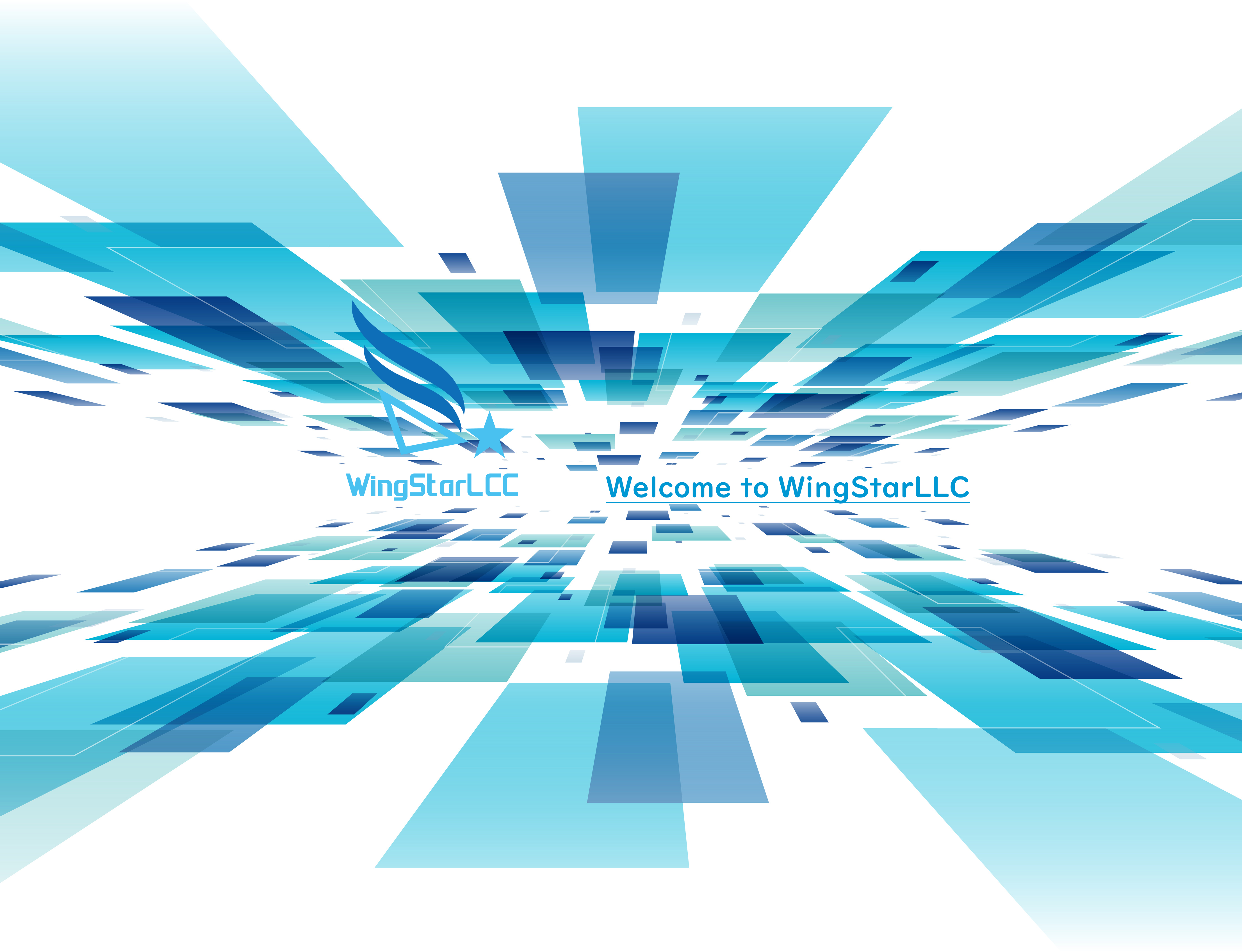WingStar合同会社 会社紹介 1