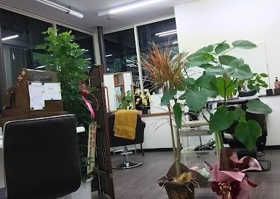 Barbier Lieu (ﾊﾞﾙﾋﾞｰｱ ﾘｭｰ)