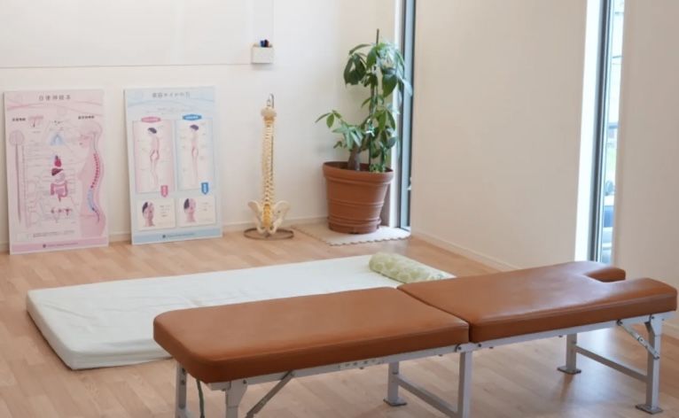 Chiro clinic FUN