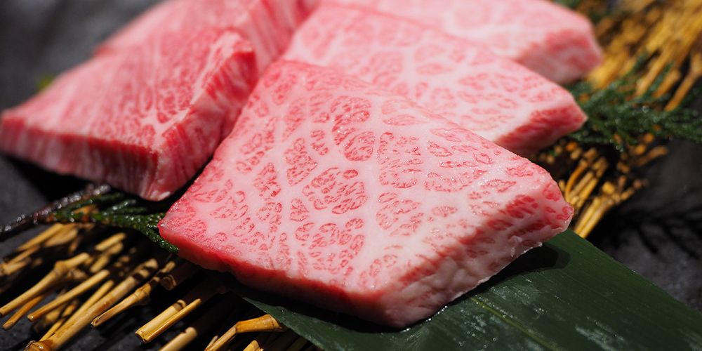 游輪