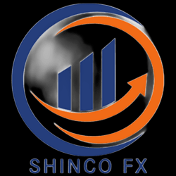 シンコーFX株式会社 会社紹介 1