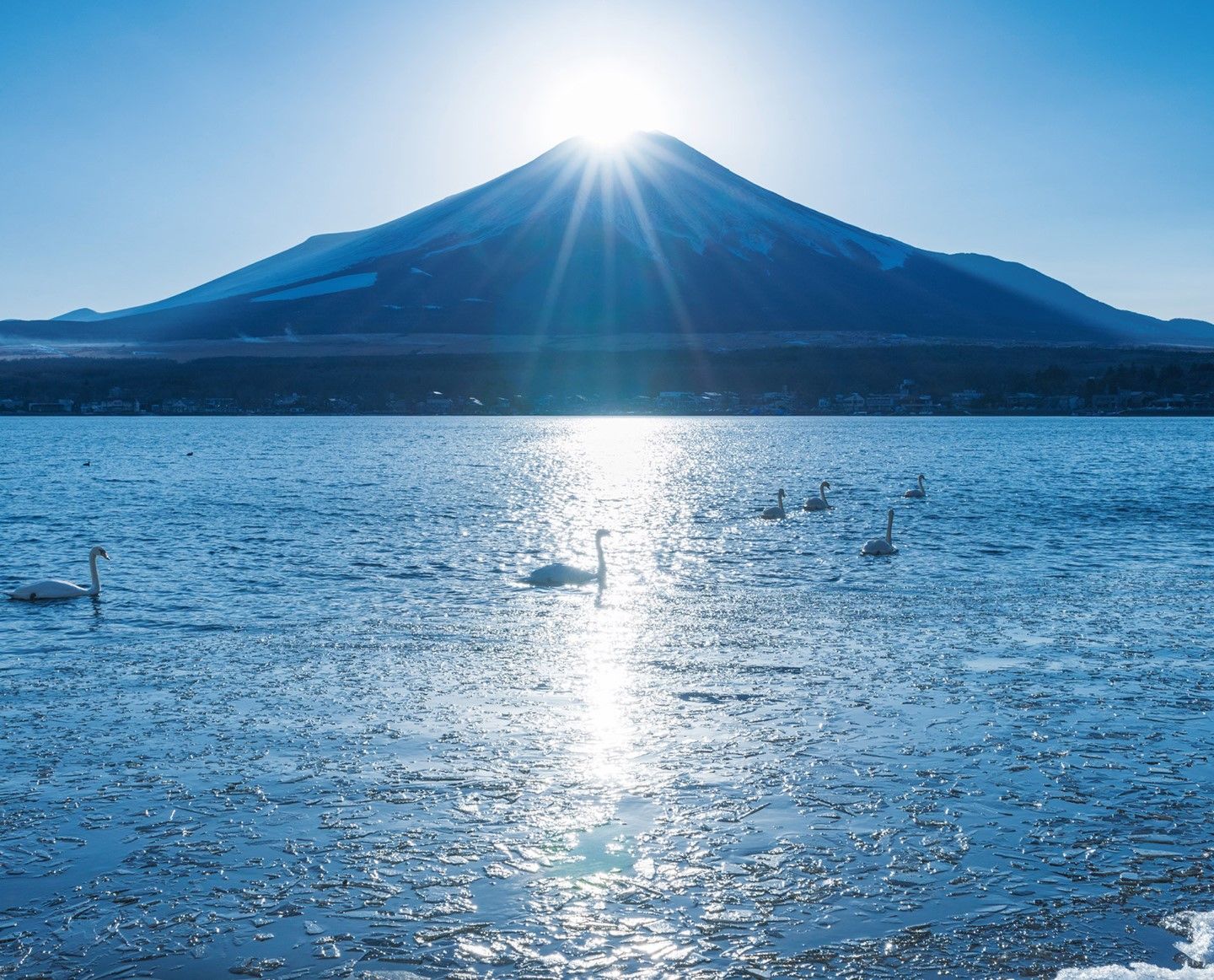 まなびのへや